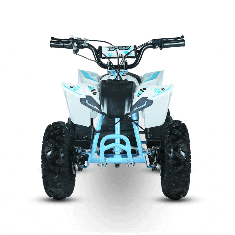 Pocket quad Kayo EA50 500W